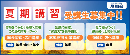 夏期講習 in 横浜港／年長・年中・年少対象／この夏の経験が、秋の成果・学びの飛躍につながります！